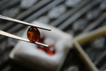 Natural Poland Amber Stone